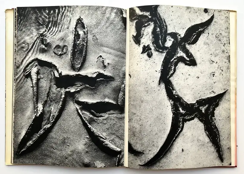 Lucien Clergue – Camargue Secrète (ASSOCIATION COPY)