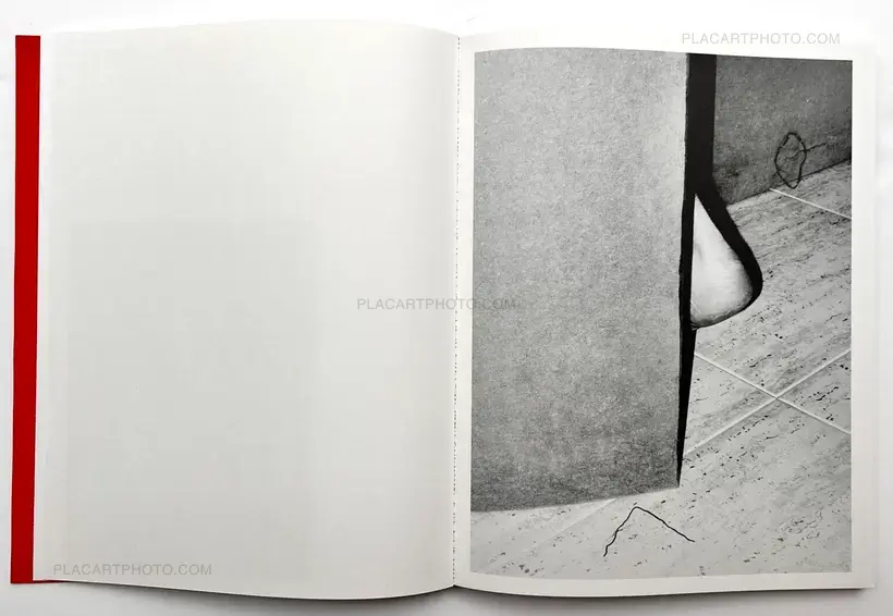 Yurian Quintanas Nobel – Dream Moons
