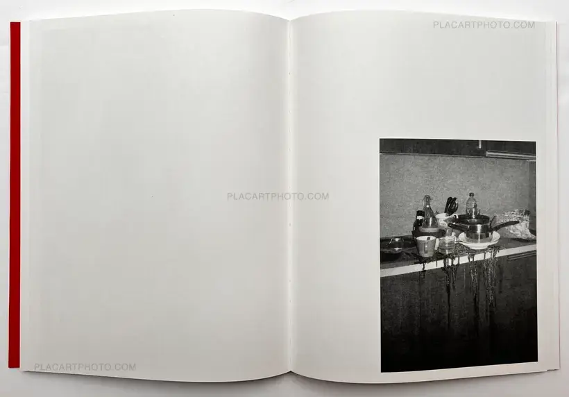 Yurian Quintanas Nobel – Dream Moons