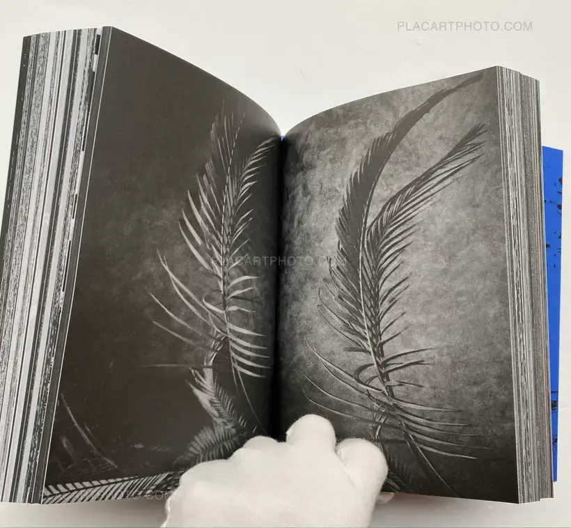 Koji Kitagawa – Photography 写真 (Last copy, seald copy, blue cover)
