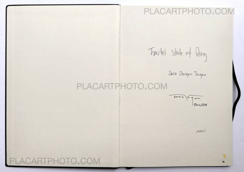 Sara Skorgan Teigen: Fractal State of Being (Sealed Copy), Journal