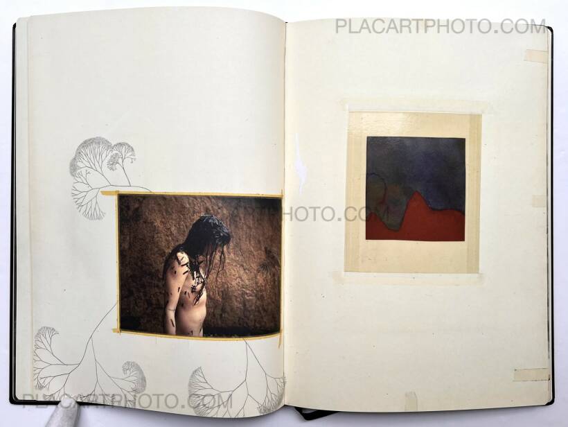 希少品】「Fractal State Of Being」 Sara Skorgan Teigen: Fractal 希少品】「Fractal State Of Being」 Sara Skorgan Teigen: Fractal