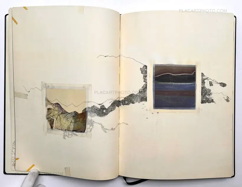 希少品】「Fractal State Of Being」 Sara Skorgan Teigen: Fractal 希少品】「Fractal State Of Being」 Sara Skorgan Teigen: Fractal