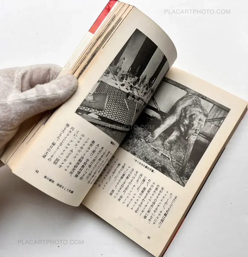 Nobuyoshi Araki – Journey to photography