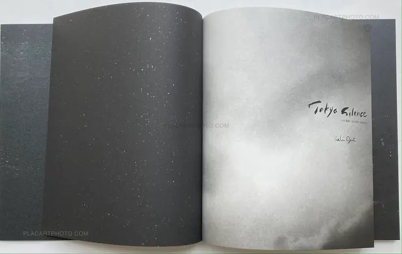 Yasuhiro Ogawa – Tokyo Silence (Signed)