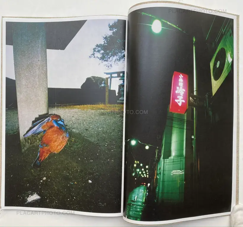 Daido Moriyama – UWAJIMA (SIGNED)