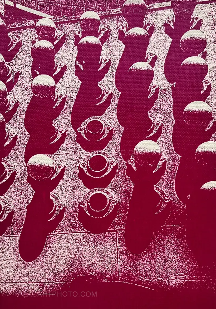 Daido Moriyama – Naomi (Signed and numbered)