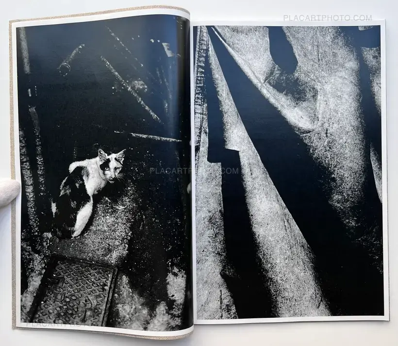 Daido Moriyama – Hiroko (Signed and numbered)