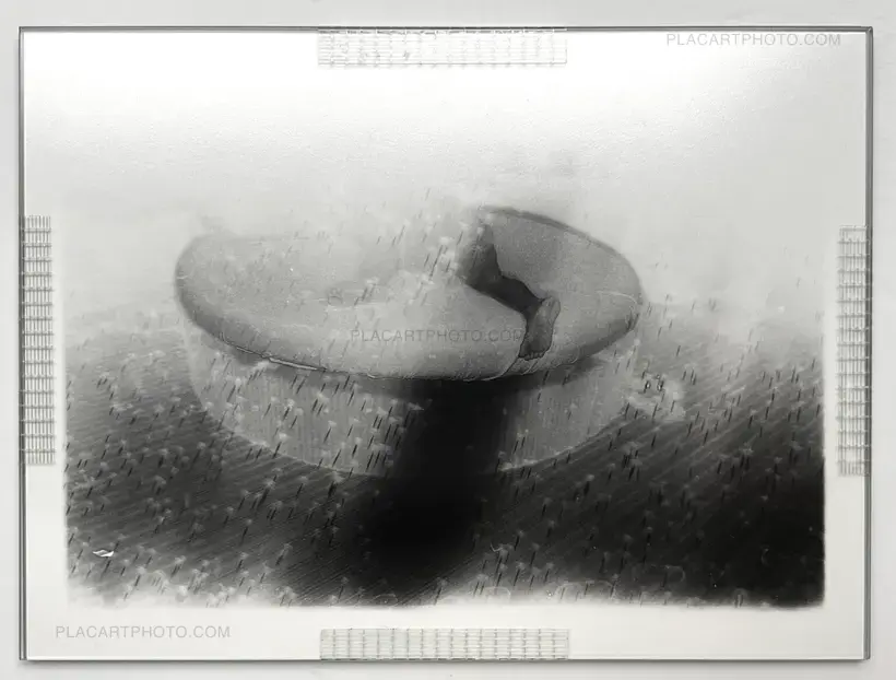 Olivier Pin-Fat – Meat (ARTIST'S EDITION 2/5)