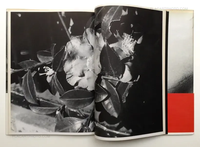 Nobuyoshi Araki – Shashin-Ron