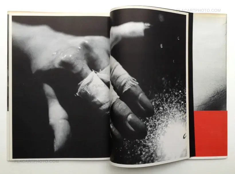 Nobuyoshi Araki – Shashin-Ron