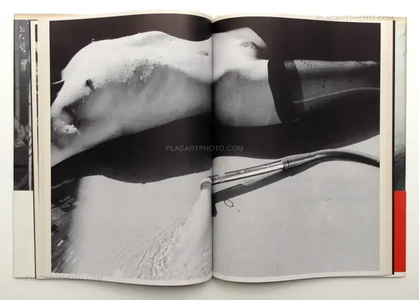 Nobuyoshi Araki – Shashin-Ron