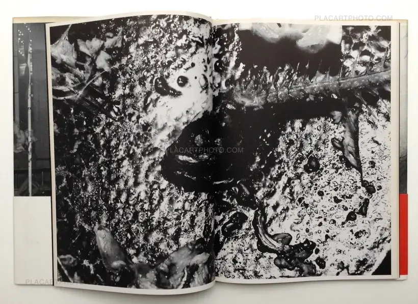 Nobuyoshi Araki – Shashin-Ron