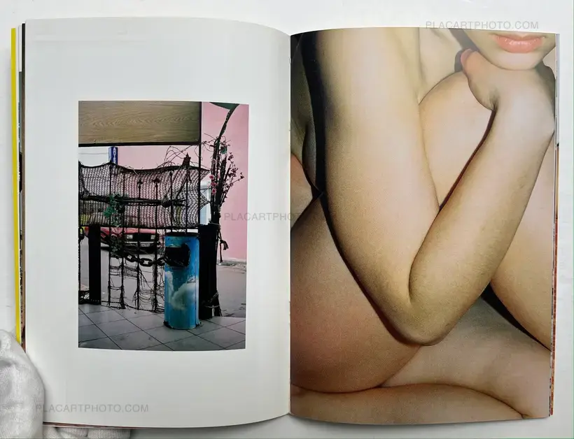 Sasha Kurmaz – Sex and Concrete