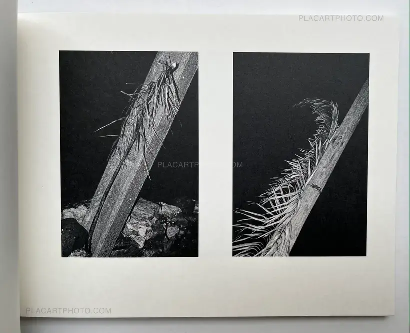 Fabio Miguel Roque – Awaken/Nekawa (Signed)