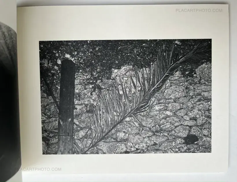 Fabio Miguel Roque – Awaken/Nekawa (Signed)
