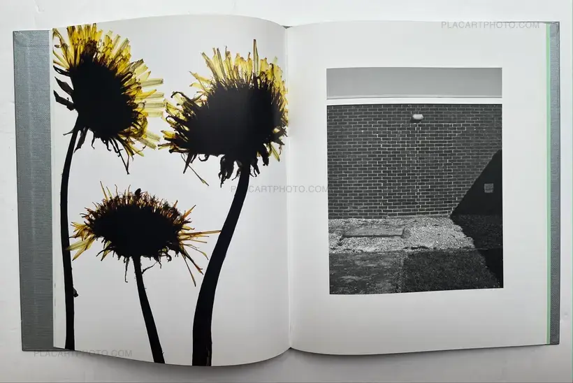 Edmund Clark – My Shadow's Reflection