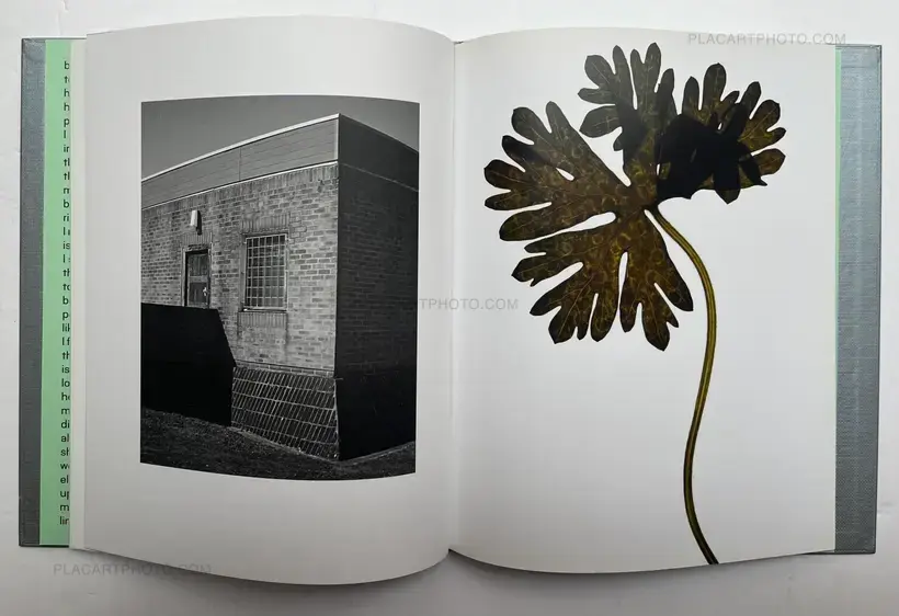 Edmund Clark – My Shadow's Reflection