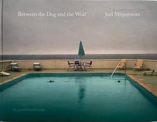 Joel Meyerowitz – Between the Dog and the Wolf