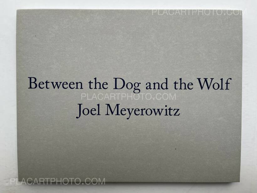 Joel Meyerowitz Between the Dog and the… Between the Dog and the Wolf - 2019 Edition — Joel Meyerowitz