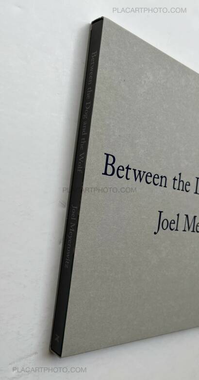 Joel Meyerowitz,Between the Dog and the Wolf