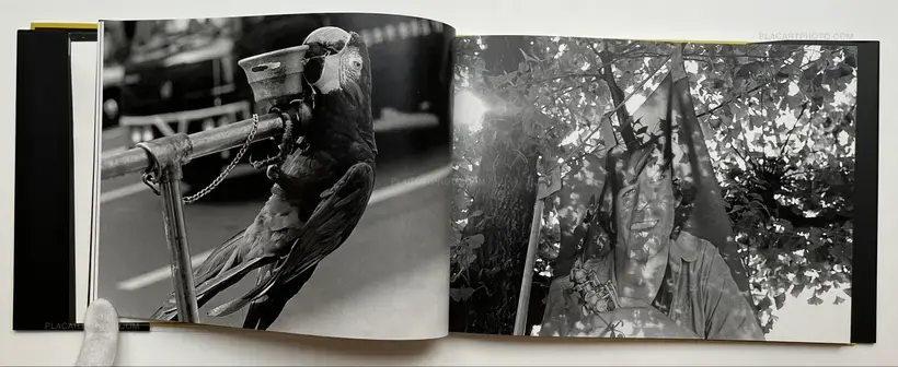 Issei Suda – Journey to the Tobacco Shop on the Corner Special Edition (Signed, edt of 50 with original print)