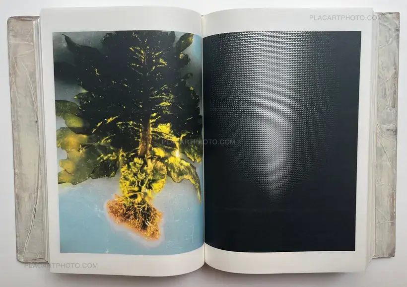 Toshitsugu Yamawaki – Dual I & II (Signed and numbered, edt of 100)