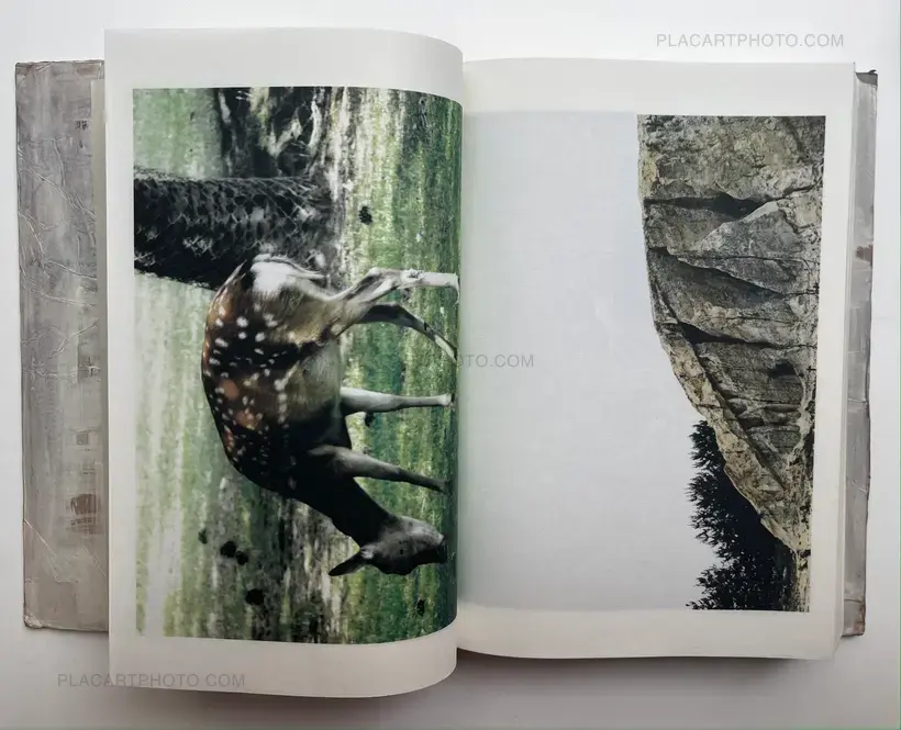 Toshitsugu Yamawaki – Dual I & II (Signed and numbered, edt of 100)