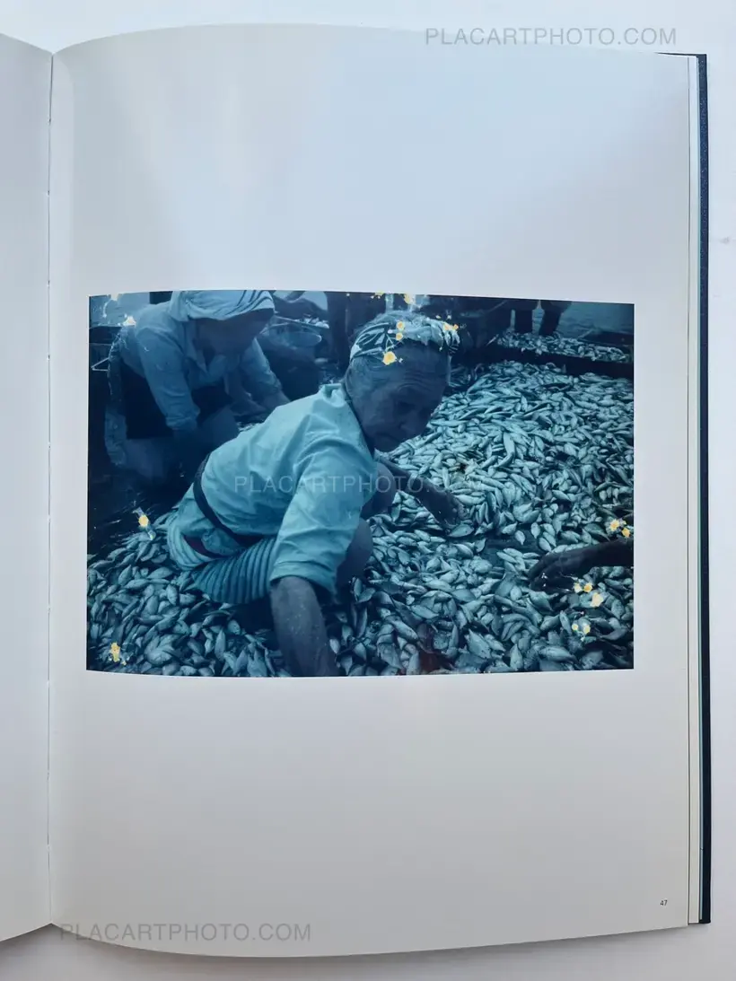 Takashi Hamaguchi – The Jewel Coast