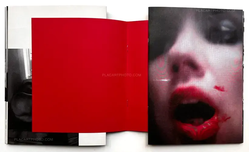 Hester Scheurwater – All I Ever Wanted (Signed and numbered edt of 500)
