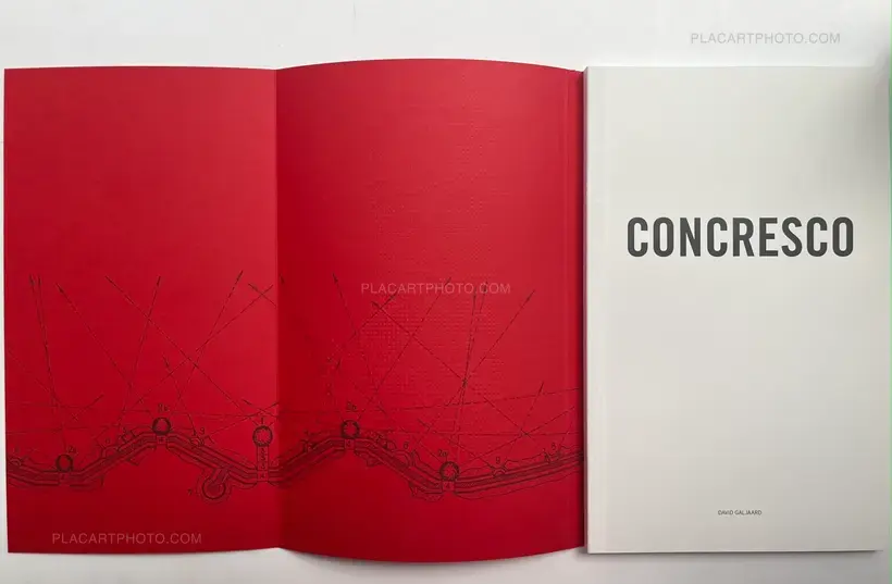 David Galjaard – CONCRESCO