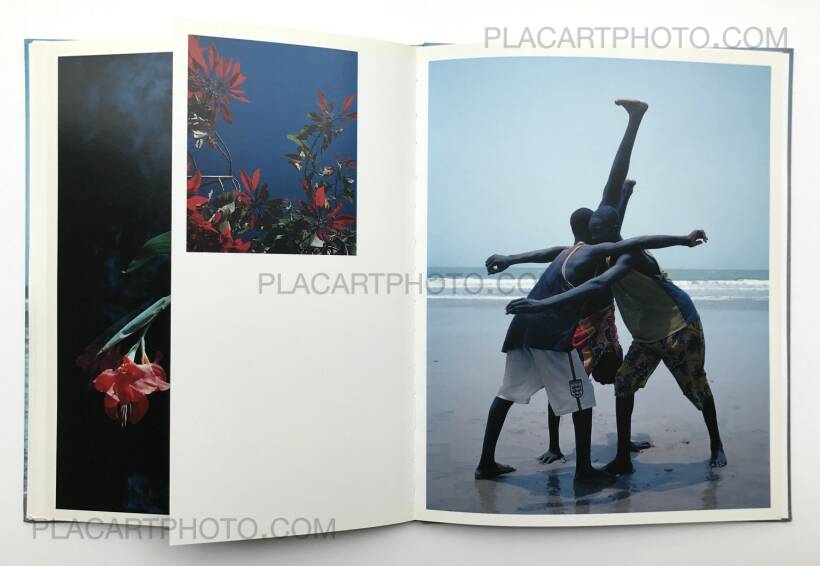 Flamboya by Viviane Sassen: Near Fine Hardcover (2008) 1st Edition