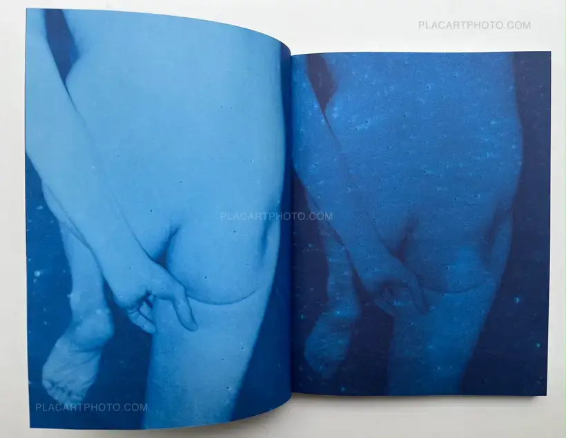 Julie van der Vaart – Blind Spot