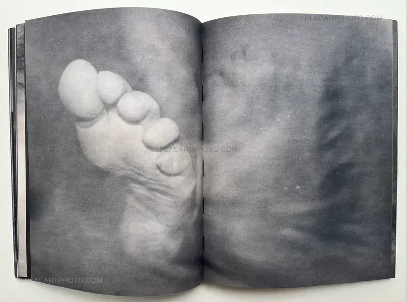 Julie van der Vaart – Blind Spot