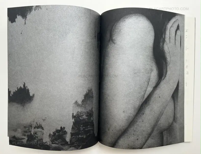 Julie van der Vaart – Blind Spot