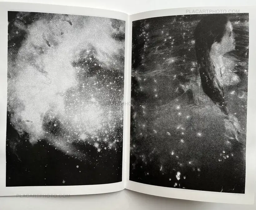 Fabio Miguel Roque – Orion