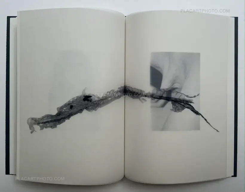 Calin Kruse – Cannibals