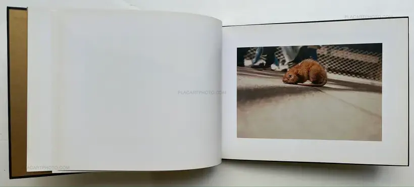 Nick Waplington – You Love Life (SIGNED AND NUMBERED /1000)