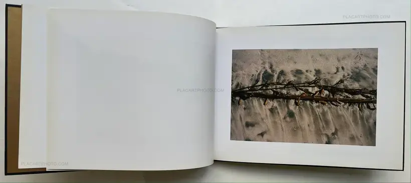 Nick Waplington – You Love Life (SIGNED AND NUMBERED /1000)
