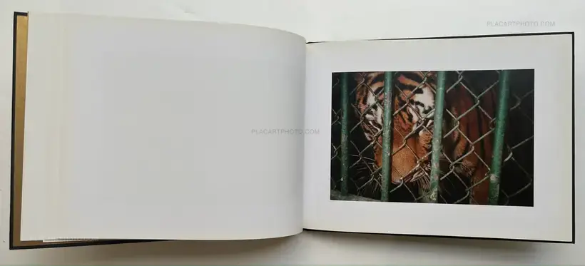 Nick Waplington – You Love Life (SIGNED AND NUMBERED /1000)