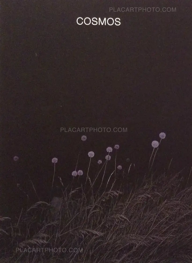 Bérangère Fromont – Cosmos (Signed)