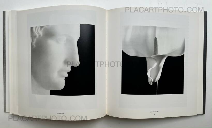 Robert Mapplethorpe: Mapplethorpe, Schirmer/Mosel, 1992 | Bookshop