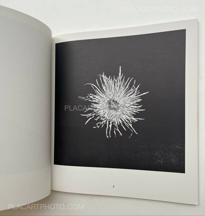 Mapplethorpe: Mapplethorpe. Robert: 9783832792145: Amazon