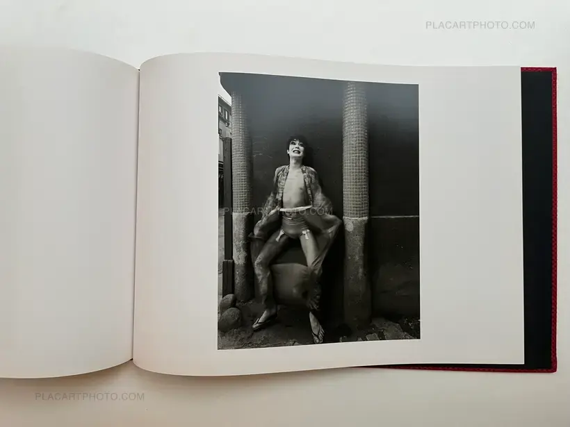 Eikoh Hosoe – Simmon: a Private Landscape (Signed and numbered /900)