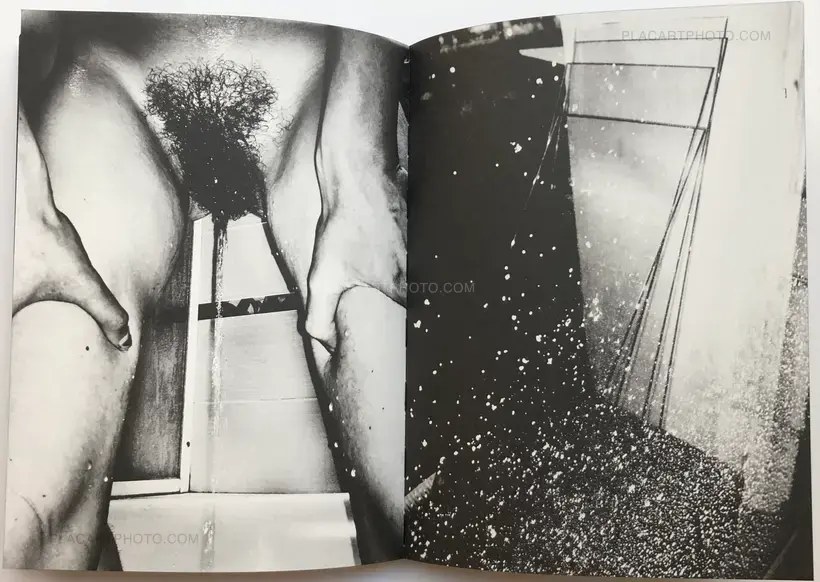 Igor Pisuk – DECEITFUL REVERENCE