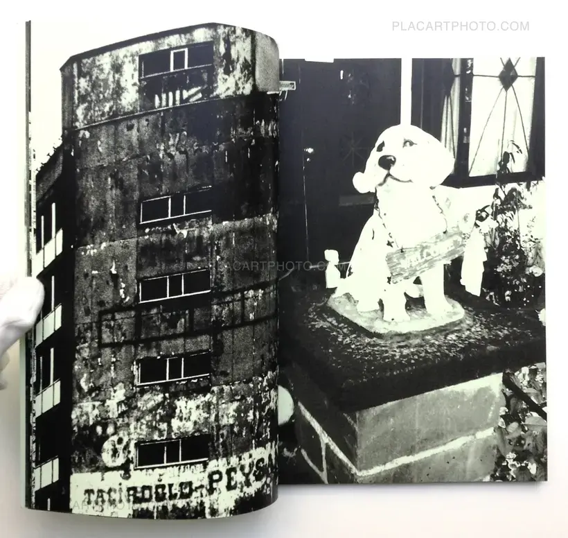 Chiara de Franciscis – Kingdom I-IV (Signed)