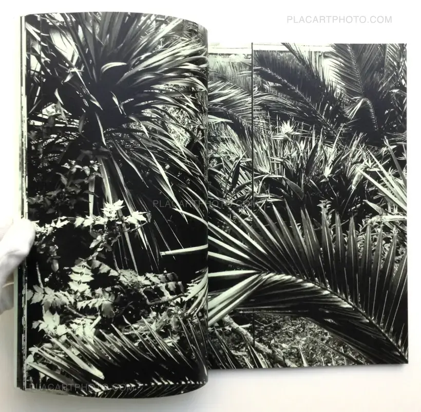 Chiara de Franciscis – Kingdom I-IV (Signed)