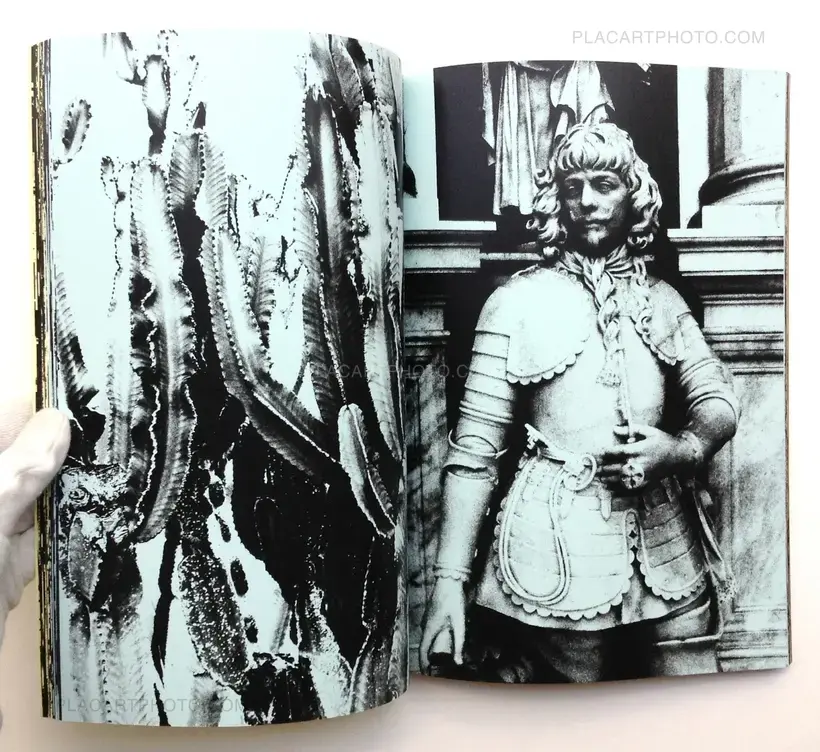Chiara de Franciscis – Kingdom I-IV (Signed)