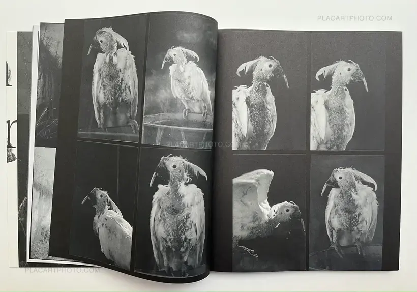 Wouter Van de Voorde – Death is not here