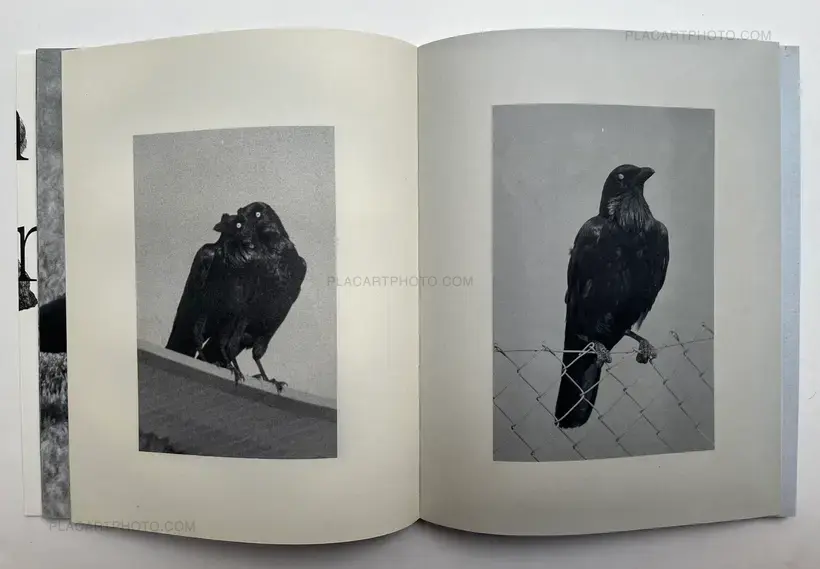 Wouter Van de Voorde – Death is not here